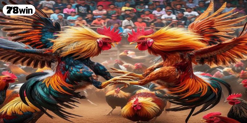 Màu mạng đá gà là như thế nào?